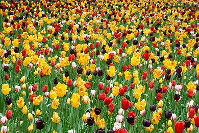 《漫威蜘蛛侠2》媒体赞誉图发布：值得一玩的大作