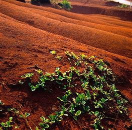 调查显示：2023年玩家们60%的游戏时间花在老游戏上